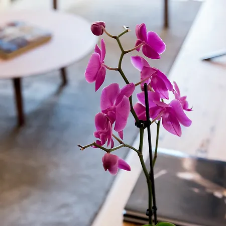 Apartmán Flora Chiado Lisboa