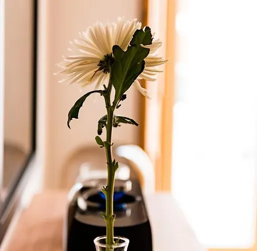 芙洛拉希亚多公寓 *