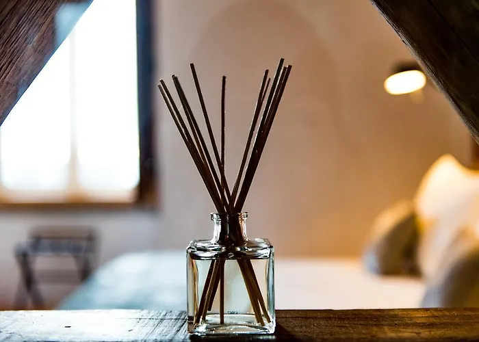 公寓 芙洛拉希亚多公寓 *