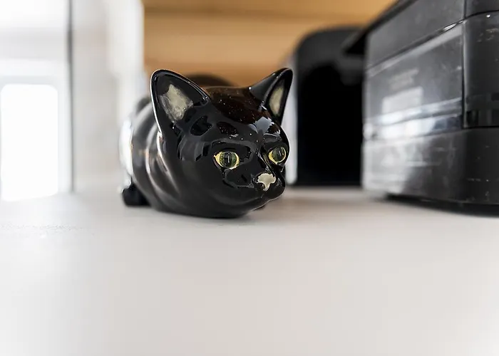 公寓 芙洛拉希亚多公寓 Lisboa