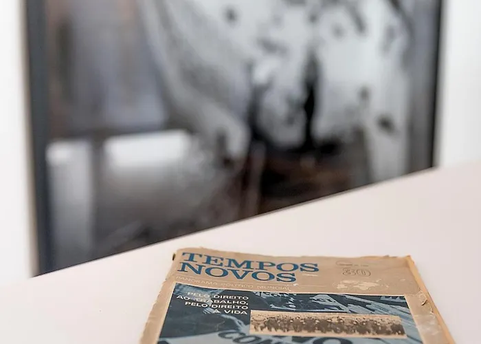 芙洛拉希亚多公寓 *