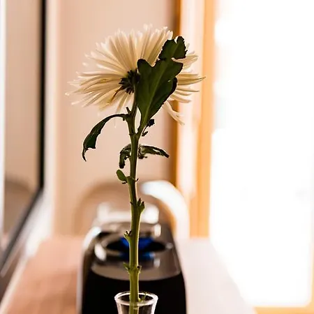 Flora Chiado *